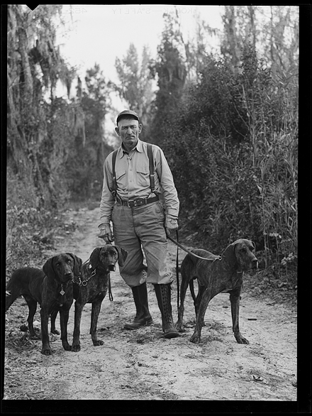 Unidentified man with Plott Hounds on a bear hunt in Lake Waccamaw, NC, circa early 1950s