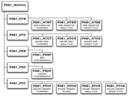 Morton Directory Structure