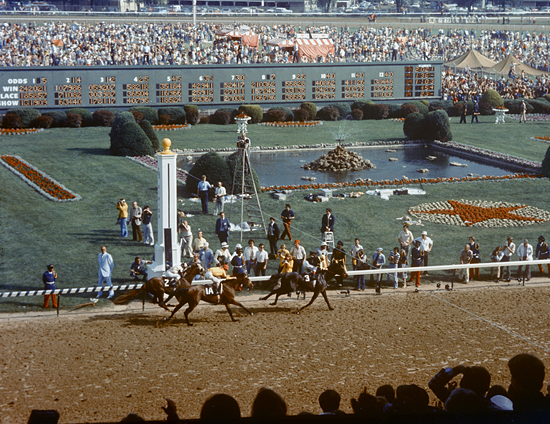 Finish Line, Kentucky Derby, 1977