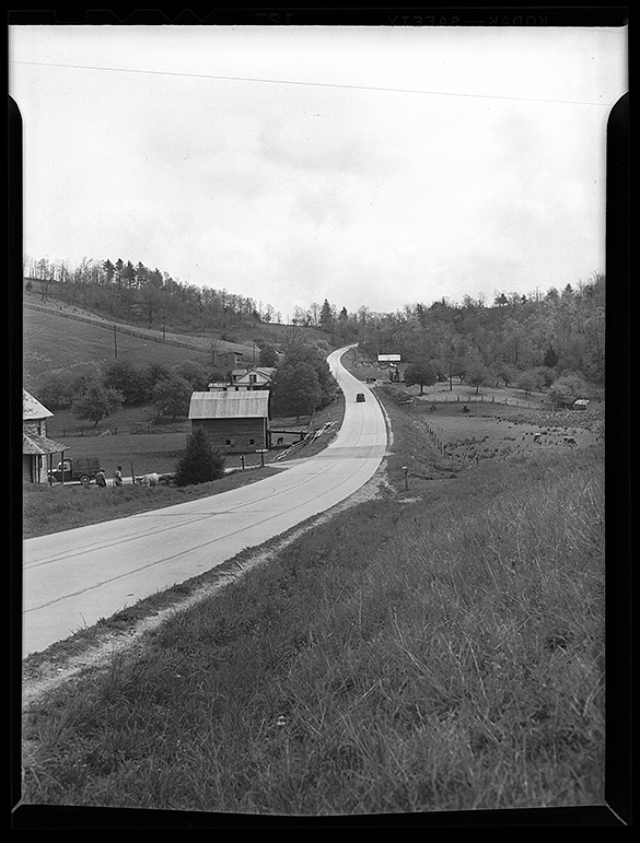 This scene comes from a group of negatives labeled "Road (Linville-Boone)."  The road sign on the left reads "PINE RUN RD" however, and the only road name matching that description (when searching Google Earth) runs between US 421 and Ridge Road  east of Boone.  Can anyone identify the location?