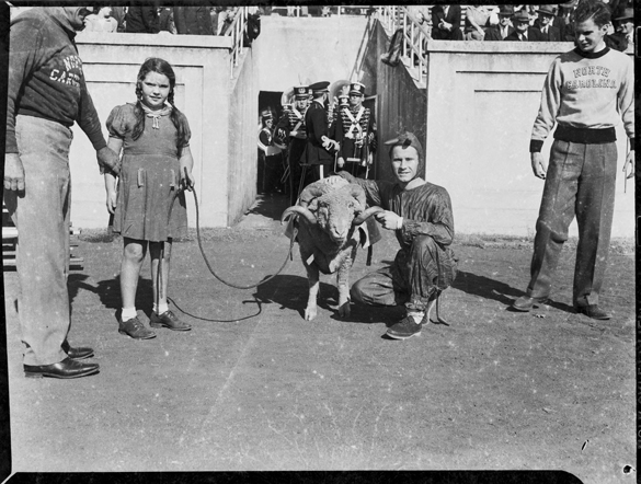 EARLY 1940s: UNC ram mascot posing with man dressed as Duke Blue Devil mascot at UNC-Chapel Hill versus Duke University football game, probably early 1940s at Kenan Memorial Stadium, Chapel Hill, NC.