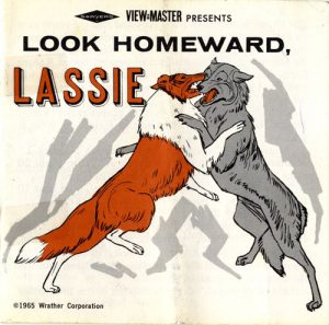 Look Homeward Lassie