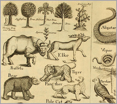 The Natural History of North Carolina, by John Brickell, 1743.