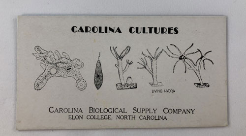 Ink blotter with words Carolina cultures and showing images of microscopic organisms