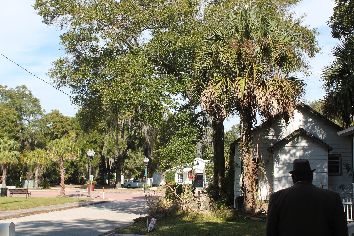 Mayor Mount walking on a street lined with palm trees and street lamps, with a park bench on one side